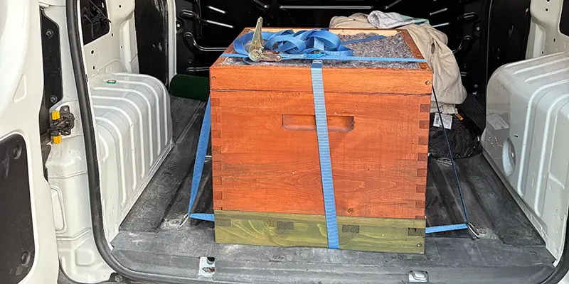 Ablegerkasten im Auto gesichert für Transport zum neuen Standort