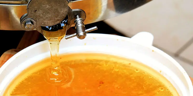 Aus dem Bienenstock ins Glas