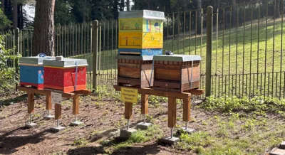Bienenstand im Tierpark Gera