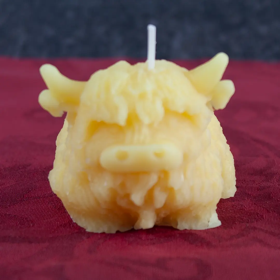 Goldgelbe Bienenwachs-Kerze in Form eines süßen schottischen Highland Rindes, 5cm groß