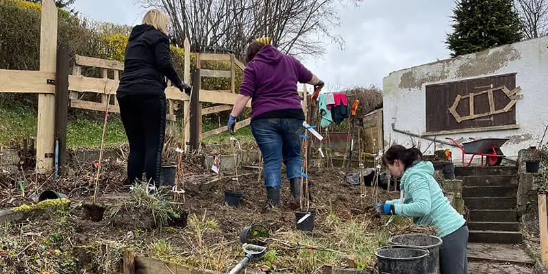 Die ersten Pflanzen für den Bienengarten