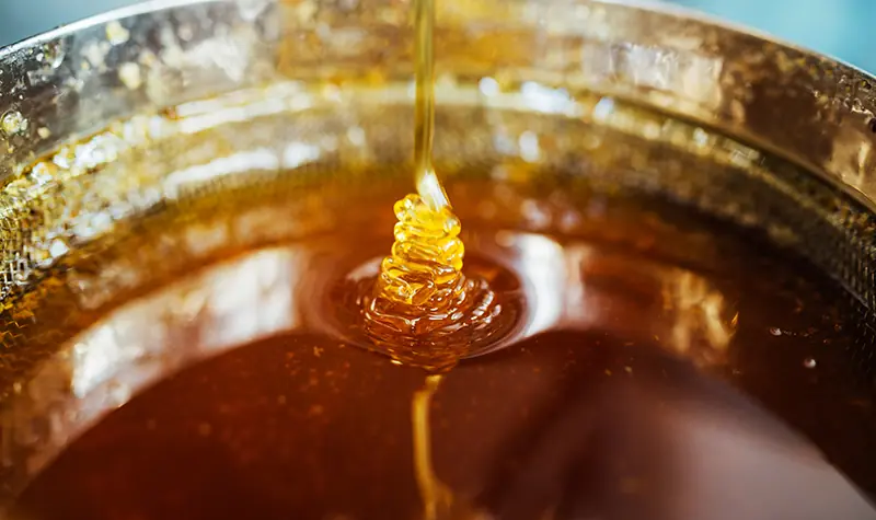 Frisch geschleuderter goldener Honig fließt aus Schleuder