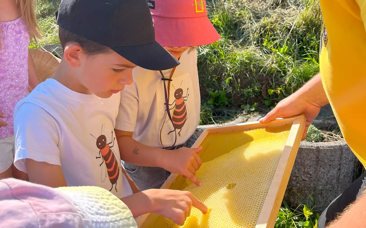 Kinder naschen frischen Honig direkt aus der Honigwabe, Imkerei Bildungsarbeit Gera