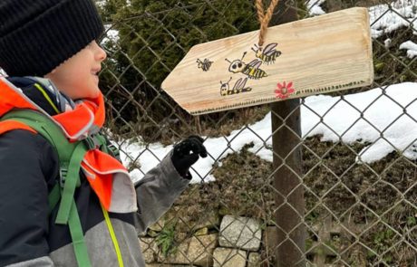 Hier geht es zum Bienengarten mit den Krümelbienen