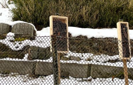 Insektehotels im Bienengarten