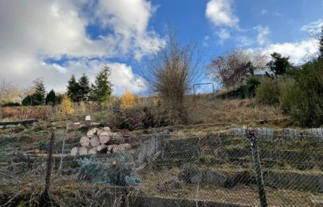 Viel Arbeit für die Vorschinder