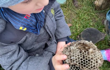 Oh interessant, was ist das?