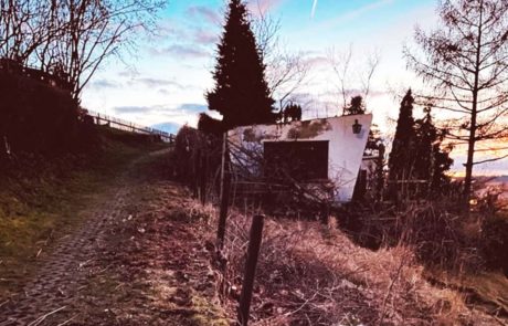 Der alte Zaun ist weg und muss nun erneuert werden