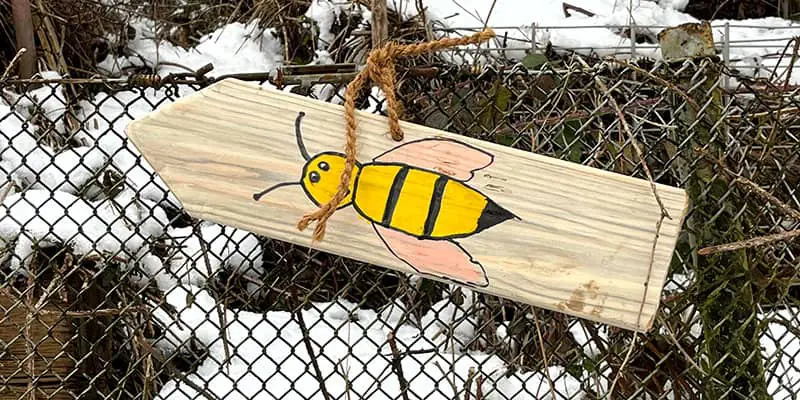 Projekt Start Krümelbienen
